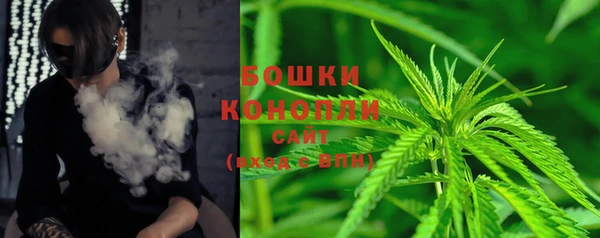 ГАЛЛЮЦИНОГЕННЫЕ ГРИБЫ Навашино