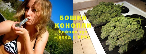 ГАЛЛЮЦИНОГЕННЫЕ ГРИБЫ Навашино