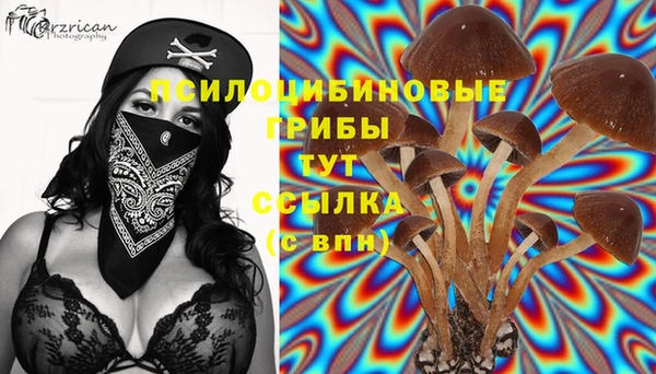 Альфа ПВП Михайлов