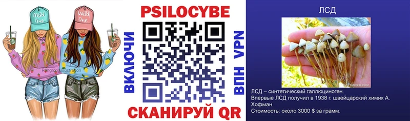 наркота  Нарткала  Галлюциногенные грибы мицелий 